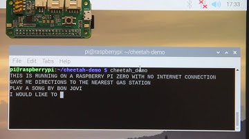 Running Cheetah Streaming Speech-to-text Offline on Raspberry Pi Zero