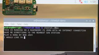 Running Cheetah Streaming Speech-to-text Offline on Raspberry Pi Zero