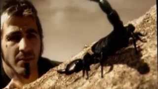 Godsmack - I Stand Alone - Lyrics