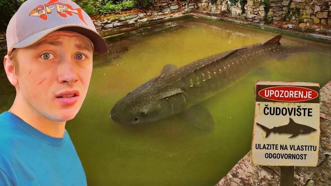 Pronašao sam zapušteni bazen prepun čudovišnih riba!