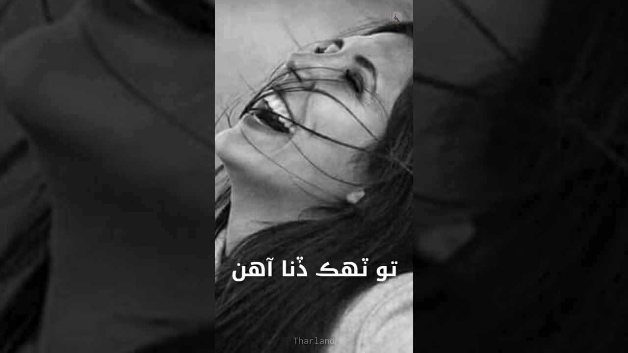 Pathar Aa Jigar Tuhnjo || Sarmad Sindhi Songs || Whatsapp Status || Sindhi Status