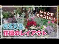 冬をシックに彩る花壇の植え込み!【アンティーク花壇】
