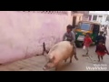 audi | savari | baccha gadi | comedy | whats app video | niranjan chaudhary