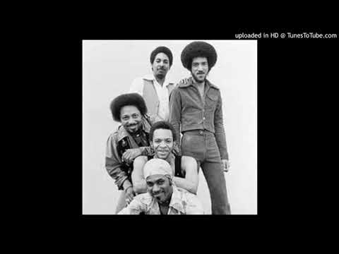 THE METERS - GROOVY LADY