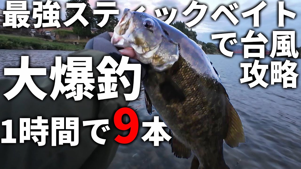 圧倒的大爆釣！3つのスティックベイトで台風を攻略する！【川スモール