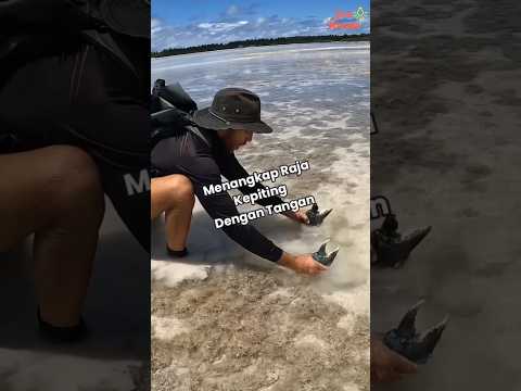 Video: Kapan musim kepiting tanah biru di florida?