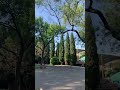 Eduardo VII park Video coming soon.