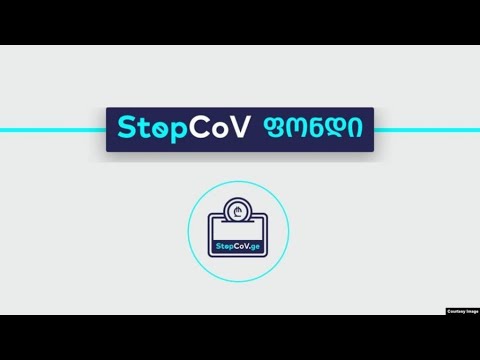 ბიძინა ივანიშვილის ოჯახმა StopCoV ფონდში 100 მლნ. ლარი ჩარიცხა