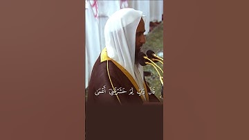 تلاوة خيالية تفوق الوصف للشيخ احمد طالب امام المسجد النبوي #اكسبلور#الحرم_المدني