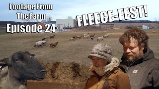 Celebrity Footage From The Farm: Episode 24 - Sheep Shearing Day on Pol Farm 🐑✂️ #drpol #sheep Wealth