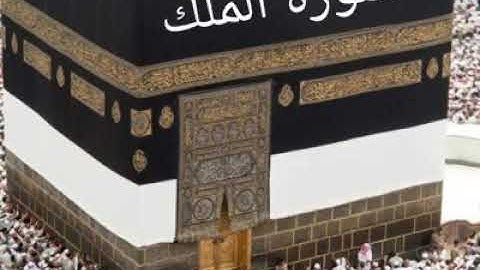سورة المُلك الشيخ صابر حسني من تراويح ١٤٤٠هـ