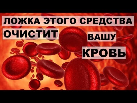 Полезные свойства и использование настойки эхинацеи
