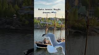 Baltic Sea magic between Estonia 🇪🇪 &amp; Finland 🇫🇮 ✨#travel #europe #shorts #ytshorts#baltics