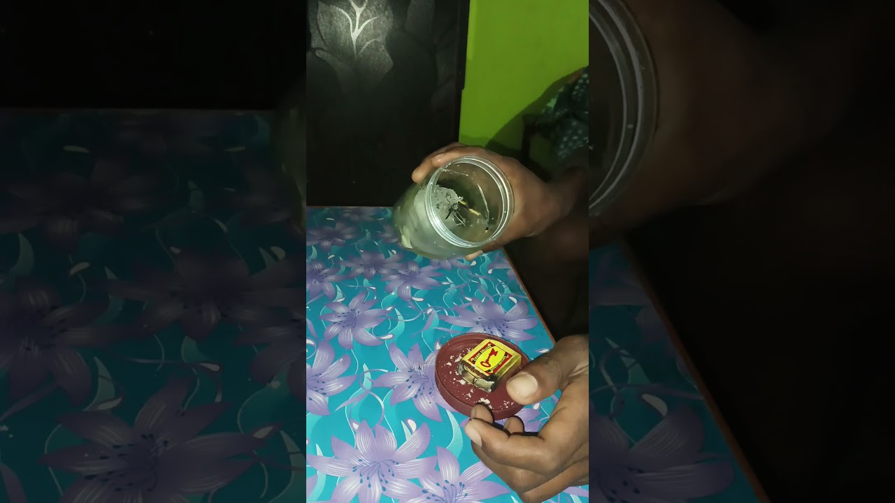 ice reaction on fire 