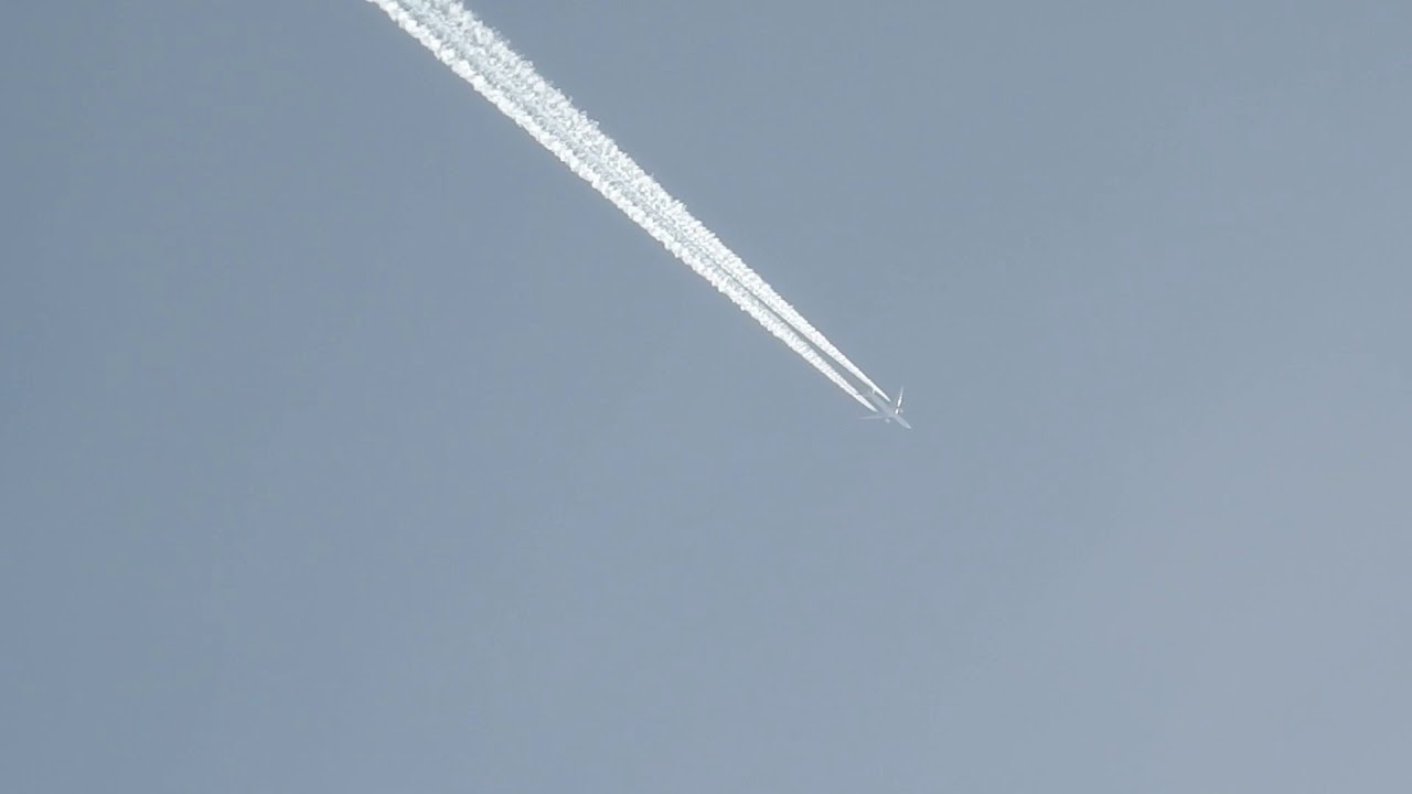 26th March 2019 Formation creation creature feature kloudz