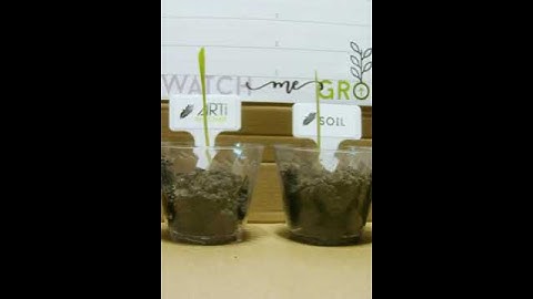 Watch me grow!🌱 Difference with Biochar