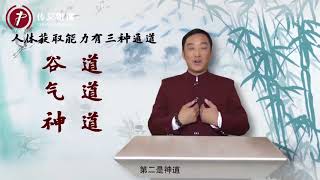 郭连杰辟谷 4：人体获取能量的3个途径