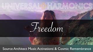 Freedom | Source Architect Harmonic Activation For Divine Remembrance
