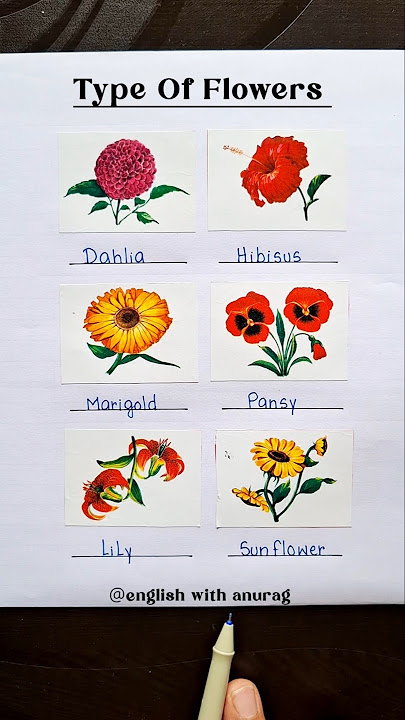 Types Of Flowers 🔥👨‍🏫