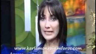 Karla Monroig - Labor Filantrópica- Resumen