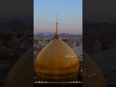 جایگاه و شخصیت حضرت معصومه سلام الله علیها خواهر بزرگوار امام رضا علیه السلام