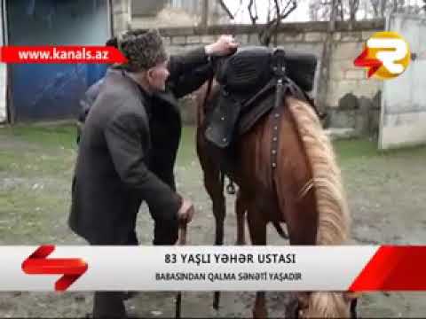 Video: Atlarda Baş Silkələmək