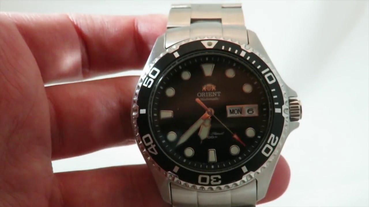 Orient Ray 2 six month Update  Review   BEST watch under $200