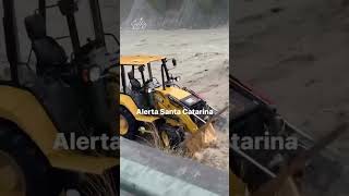Desastres ecológicos arthur