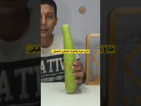 ضاع عمرنا ونظن ان اليقطين هو القرع العسلى