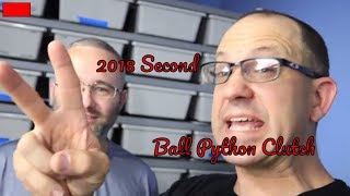 2nd Ball Python Clutch of 2018 Net Worth