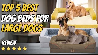 Top 5 Best Dog Beds for Large Dogs 2026 | Orthopedic, Waterproof & Extra-Large Pet Beds