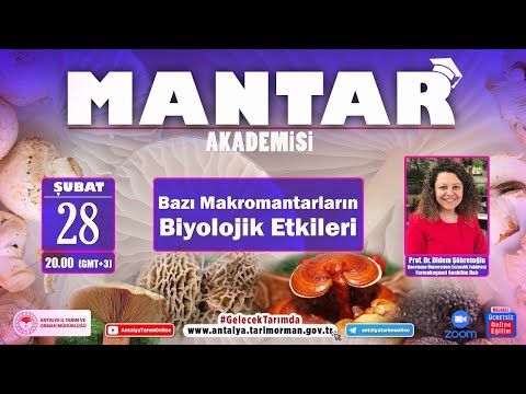 Video: Kanserli boyunlar: terimin mutfak ve botanik yorumu