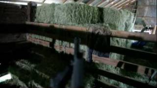 TAKE DOWN Trailer HD