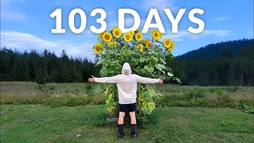 I Grew Giant Sunflowers and Filmed Them For 104 Days