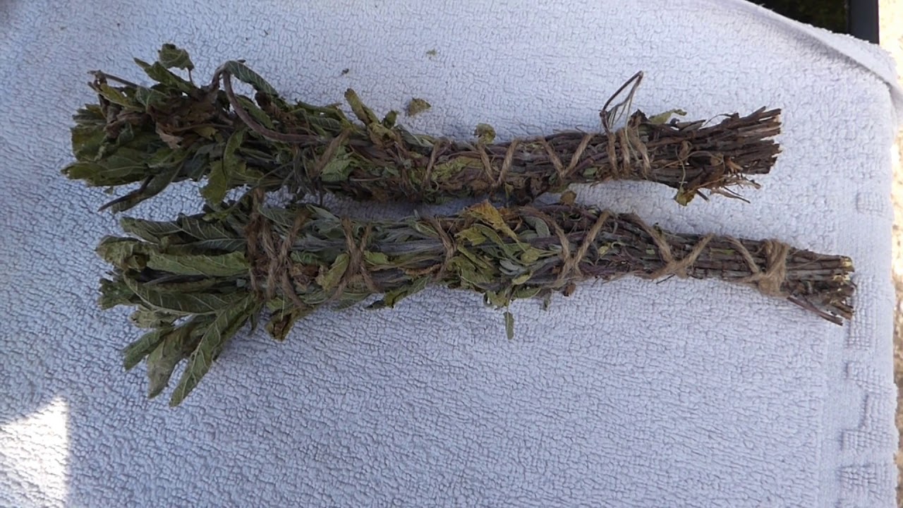 How I make my own sage smudge sticks; growing sage in containers - YouTube