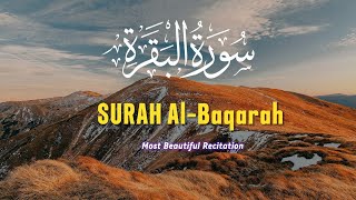 Beautiful Surah Al baqrah || سورةالبقرہ || touching quran Tilawat || Best voice for Tilawat