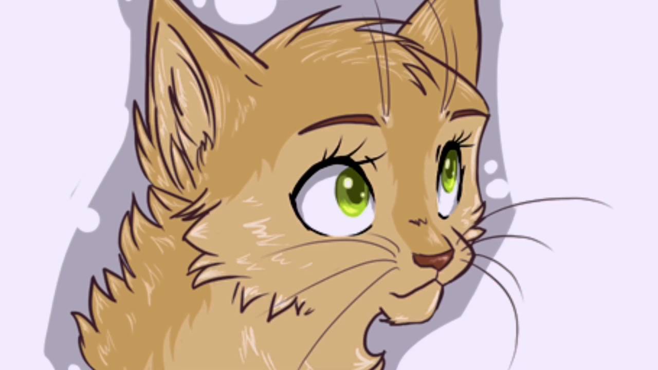 Картинки котов воителей песчаная буря