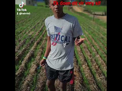 Seeking Beauty Official Trailer