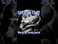 Cold As Life - Little From The World cover #metal #guitarcover #guitar #shorts #cover