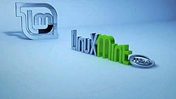 How to install linux mint on a flash drive
