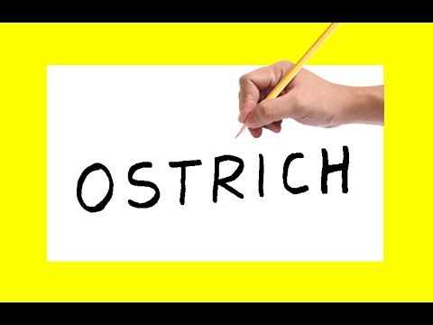 how to draw an OSTRICH using the same words Ostrich into cartoon for kids and drawing learner