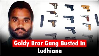 Ludhiana Police Bust Goldy Brarlinked Arms U0026 Extortion Syndicate 12 Sophisticated Weapons Seized
