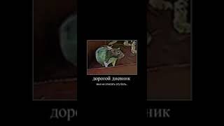 дорогой дневник мне не подобрать слов чтобы описать боль и унижения которые я испытал сегодня