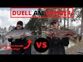 Riesen-Forellen | Duell am Wasser | Gummi vs. Blech am Forellensee | Livebisse