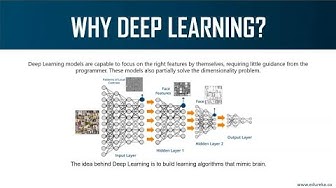 Introduction To Deep Learning