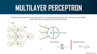 Multi Layer Perceptron (ANN)