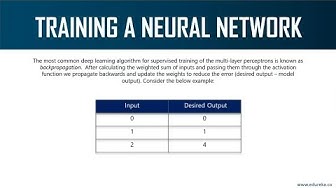 Training A Neural Network