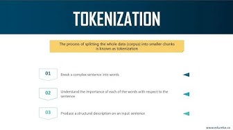 Terminologies In NLP