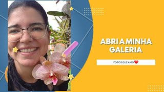 Minha Galeria