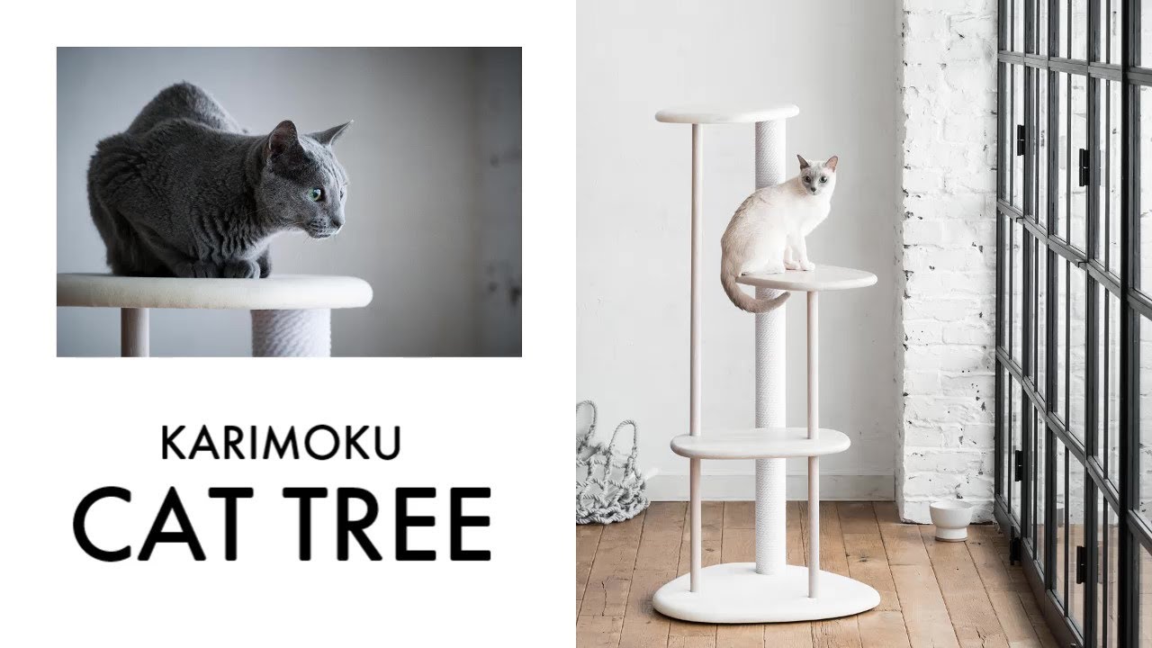 KARIMOKU CAT TREE 商品紹介 - YouTube